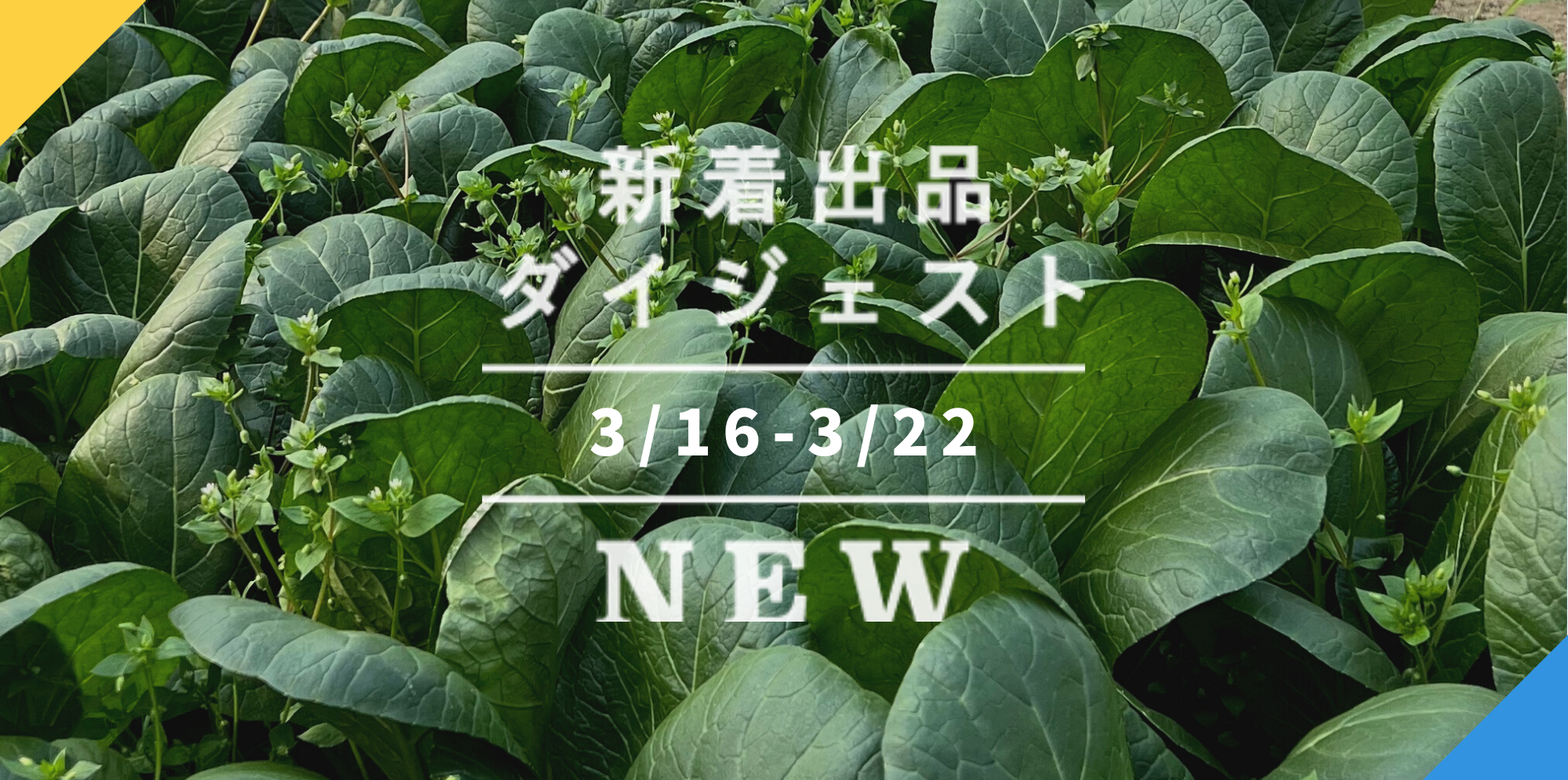 驚きの価格が実現！ 晃栄産業  店スイデン 送風機 軸流ファン ハネ300mm単相100V低騒音省エネ SJF-300L-1 3065 