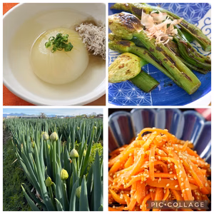 【旬野菜セット】春のかき揚げに！ねぎ坊主＋極早生新玉ねぎ＋人参（箱込み約2kg）