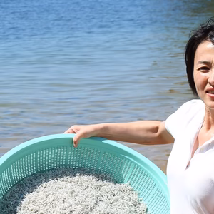 どっかん！ちりめん、かえり、釜揚げ、ひじき80サイズギリギリ詰込みぽっきり価格！