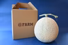 【予約販売開始】＠FARMの川越産特選メロン1玉！！【数量限定】