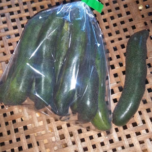 鞘付きムクナマメ