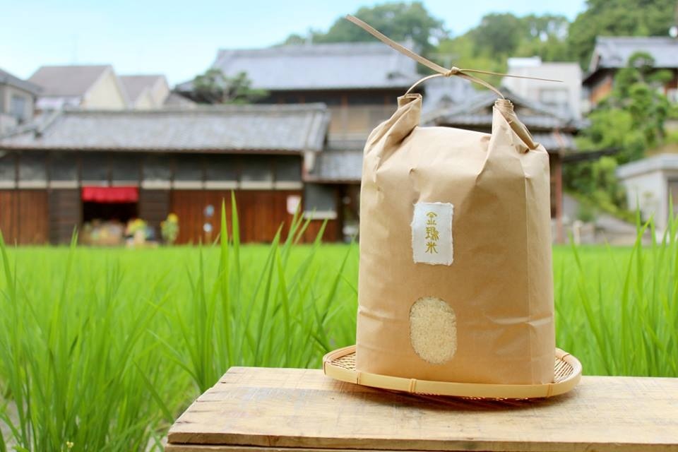 自然栽培 玄米 14kg 2024年産 コシヒカリ 紙袋 2024年産新米】富山県産 無農薬・無肥料 自然栽培玄米