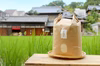 【金鵄米/白米/20kg】冷めても美味しいヒノヒカリ2024年産