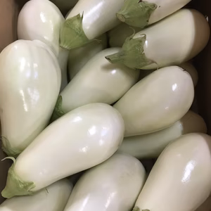 芝原様専用　ブランド茄子【りんごあめ】白茄子　30個