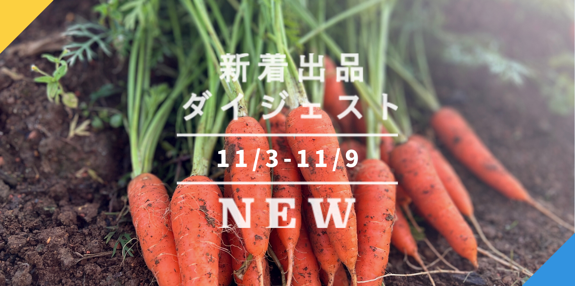 バックナンバー]極上のクルマエビ🦐ふっさふさニンジン🥕激レア