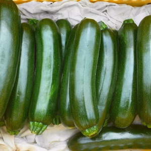 夏力・Ｗパワー☆ゴーヤ⑥★ズッキーニ⑥~農薬／化学肥料・不使用