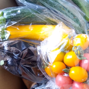 農園はなうたの夏野菜セット