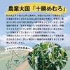 【予約割引】十勝芽室 極甘ジューシーコーン とうもろこしの王様  8月中旬発送