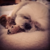 さっちゃんマン