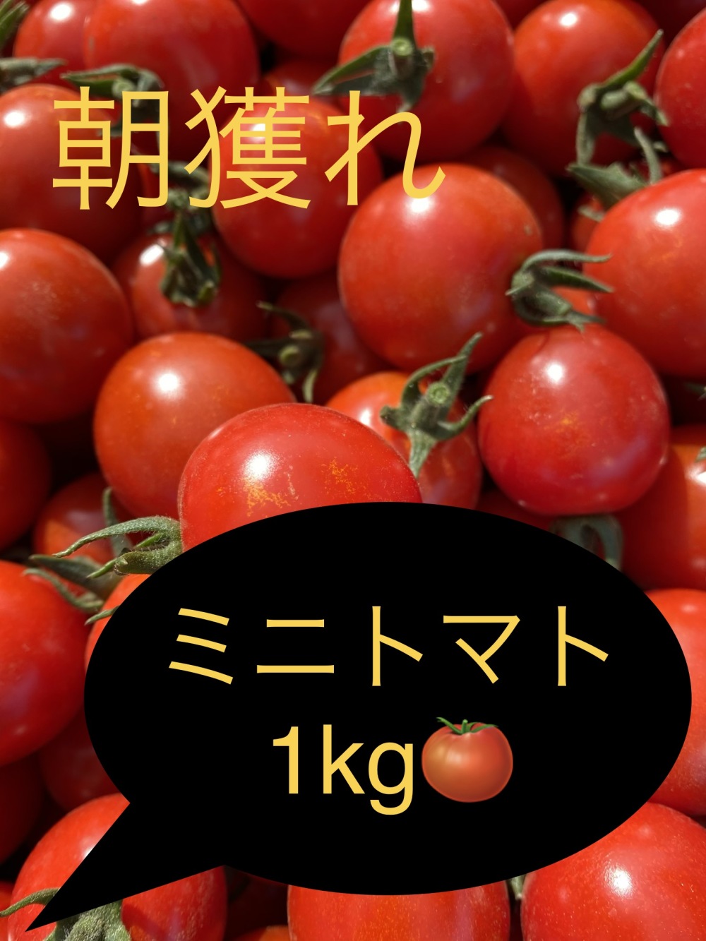 訳ありミニトマトsale 10個限定ミニトマト1kg 999 ﾟdﾟ 農家漁師から産地直送の通販 ポケットマルシェ