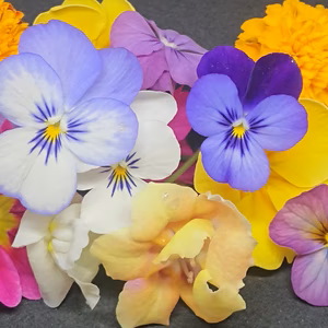 たっぷり100輪‼️ エディブルフラワー【ビオラ】