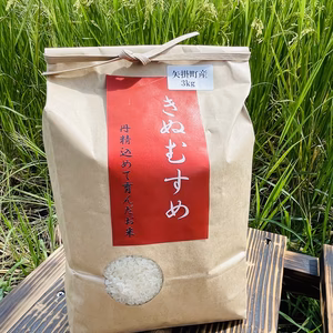 無洗米　きぬむすめ　岡山県矢掛町産　一等米　精米済　3kg