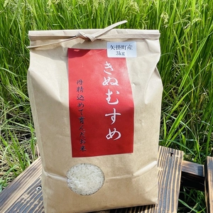 【新米】無洗米　きぬむすめ　岡山県矢掛町産　一等米　精米済　3kg