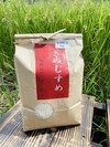 【新米】きぬむすめ　岡山県矢掛町産　一等米　精米済　3kg