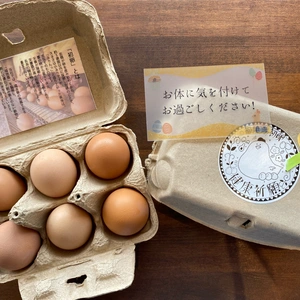 【ギフト用】福地鶏の栄養満点「初卵」（発送は5/7〜）