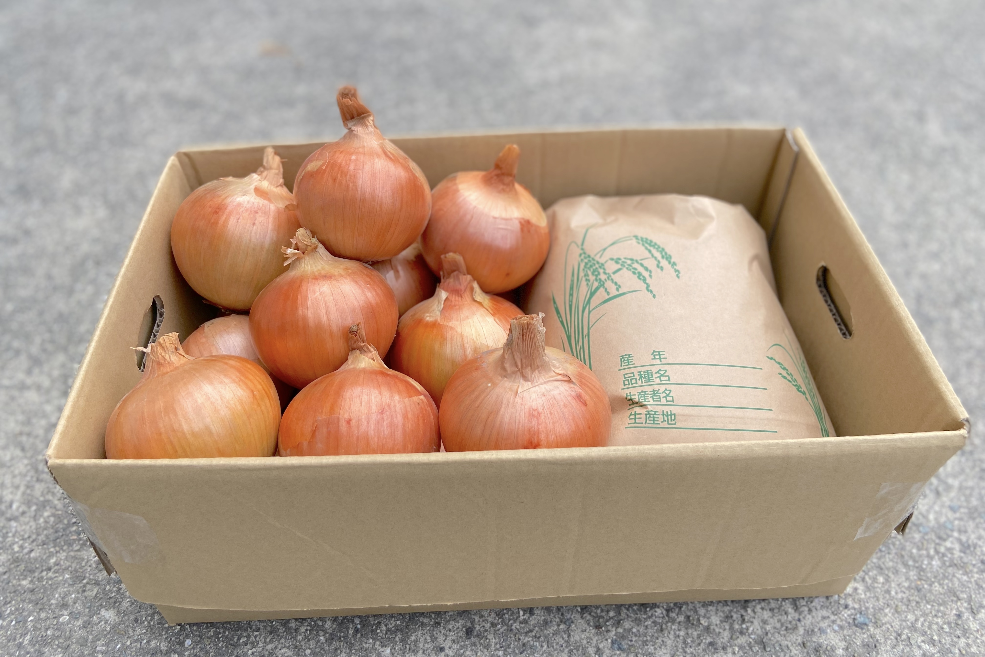 [数量限定]昨年も好評!白米キヌヒカリと完熟玉ねぎ [淡路島産] キヌヒカリ2kgと完熟玉ねぎ3kg(約8個)