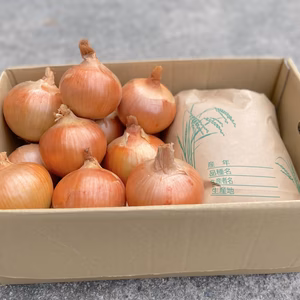 《数量限定》昨年も好評！白米キヌヒカリ5kgと完熟玉ねぎ 5kg 【淡路島産】