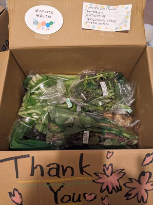 みんなの投稿の画像