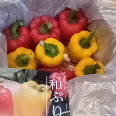 みんなの投稿の画像