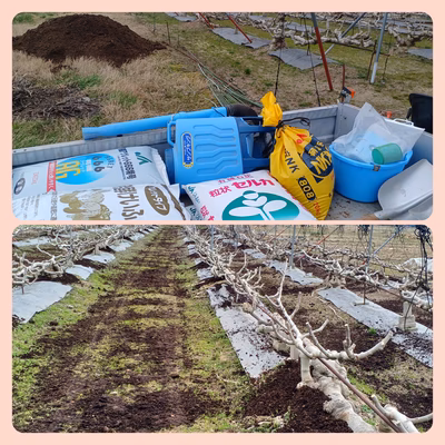 みんなの投稿の画像