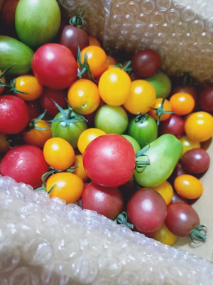 みんなの投稿の画像