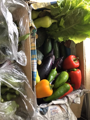 みんなの投稿の画像