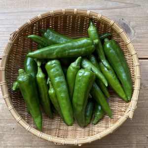 『常温発送』季節限定！生青唐辛子５００g『韓国唐辛子（甘口）』