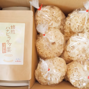 【送料無料】生鮮ハナビラタケ200g×6袋　焙煎ハナビラタケ茶30g×1袋