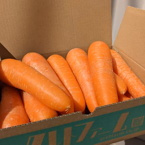 春一番！甘くて柔らか徳島県産 春にんじん！芸春