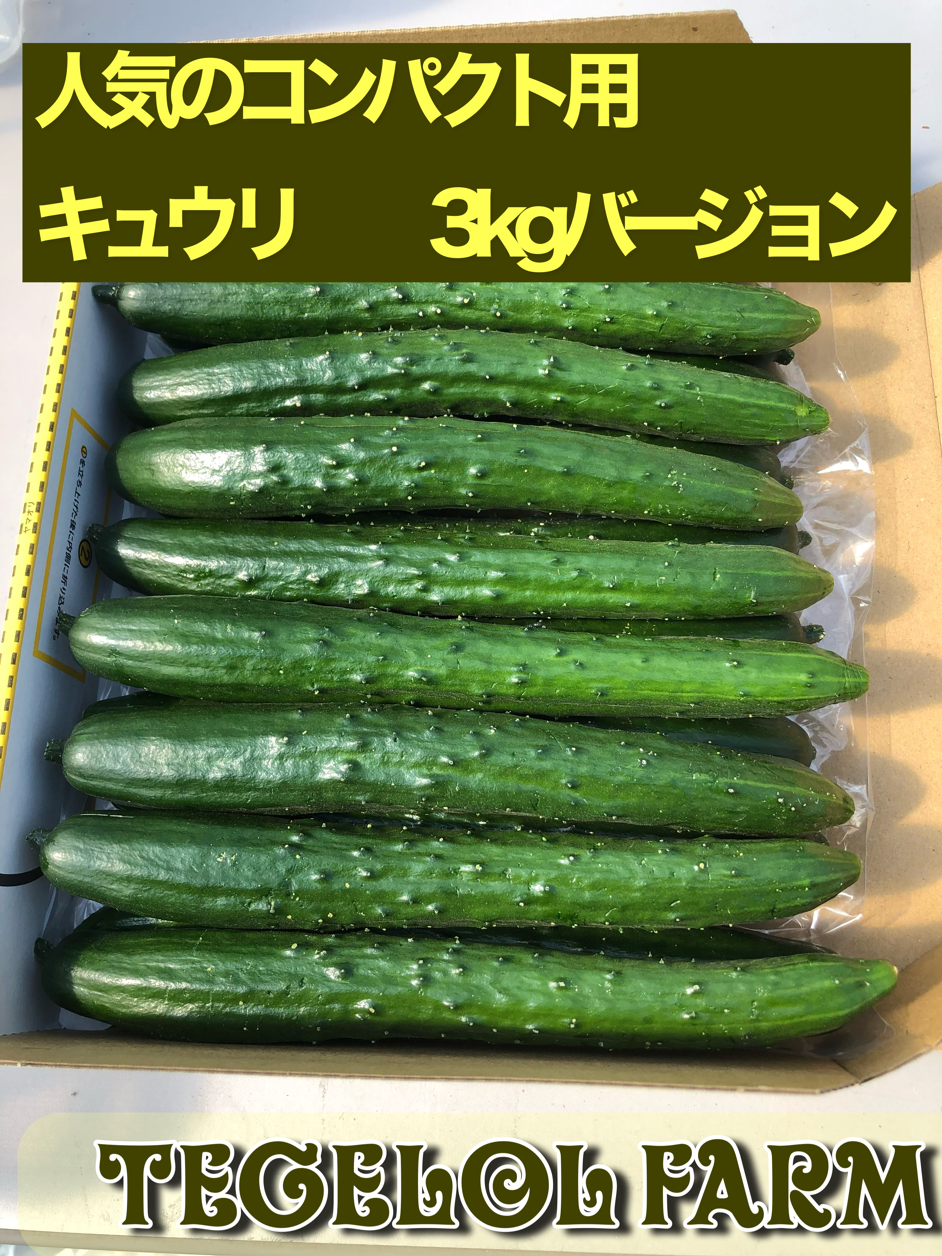 特価！！とれたて島野菜！沖縄産青パパイヤ 1.5kg以上！サラダや炒め物にも - 野菜