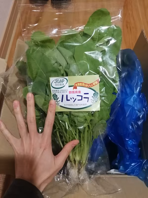 みんなの投稿の画像