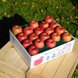 ご家庭用<サンふじ>りんご5kg 