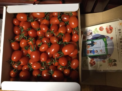 みんなの投稿の画像