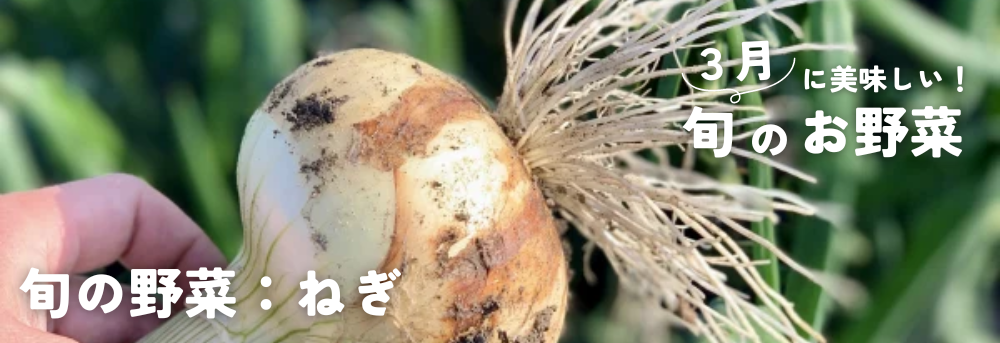 ねぎ