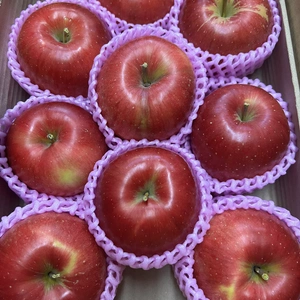 採れたてりんご シナノスイート 贈答/家庭 旬のりんご 8玉〜10玉入り 約3k