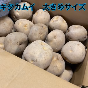 ●じゃがいも キタカムイ　大きめサイズ　●10キロ ●北海道