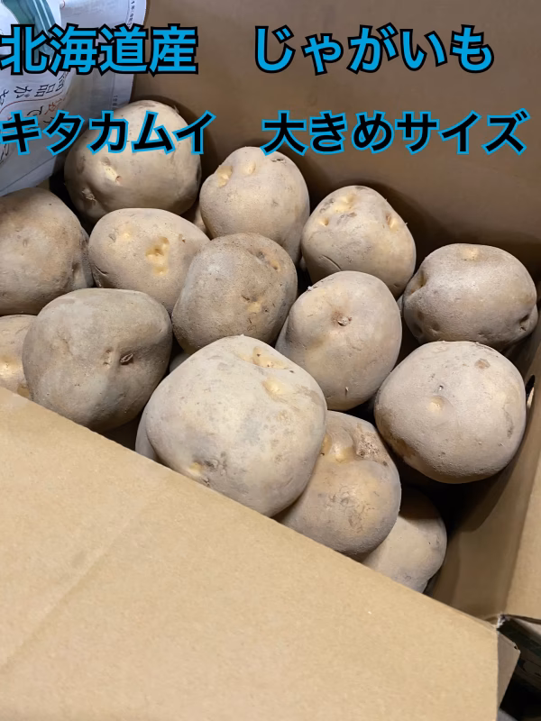 ●じゃがいも キタカムイ　大きめサイズ　●10キロ ●北海道