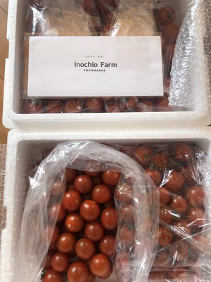 みんなの投稿の画像