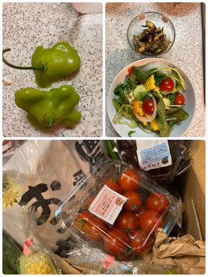 みんなの投稿の画像