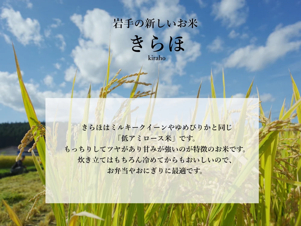 玄米が好きになる玄米　化学肥料不使用　きらほ玄米