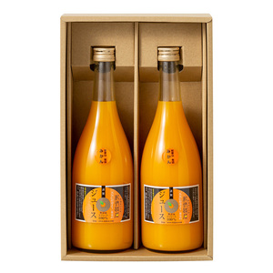 【夏ギフト】紀伊路屋 有田のみかん 無添加ストレートジュース 720ml 2本
