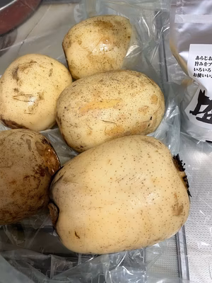 みんなの投稿の画像