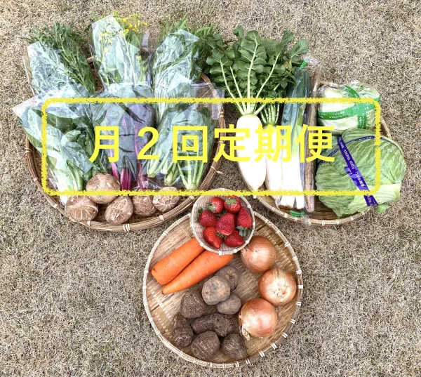 定期便[月2回]・新鮮野菜セット(15種類以上)