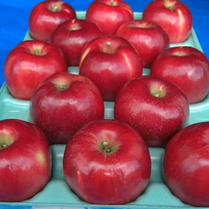 紅玉　「べにだま」　初めの一粒は生食でどうぞ！