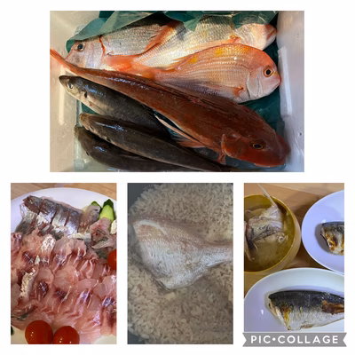 みんなの投稿の画像