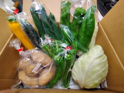 みんなの投稿の画像