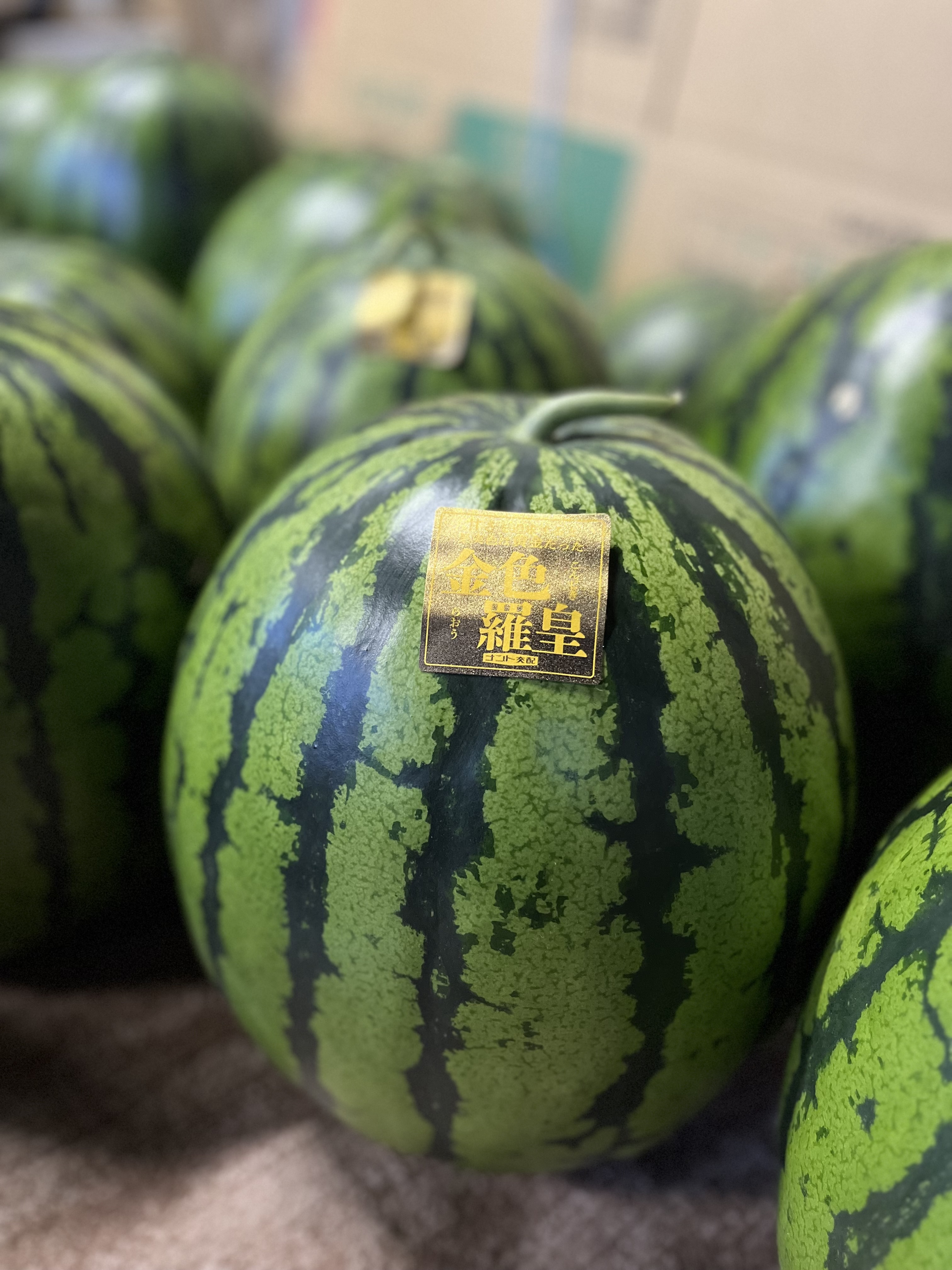 百貨店御用達！美味い！熊本産【金色羅皇】秀品6L2玉セット（23〜25k箱込） 百貨店御用達！美味い！熊本産【金色羅皇】秀品6L2玉セット（23