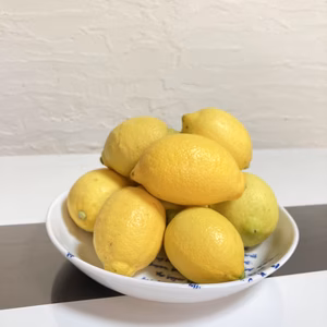 国産レモンA品(県指定特別栽培)