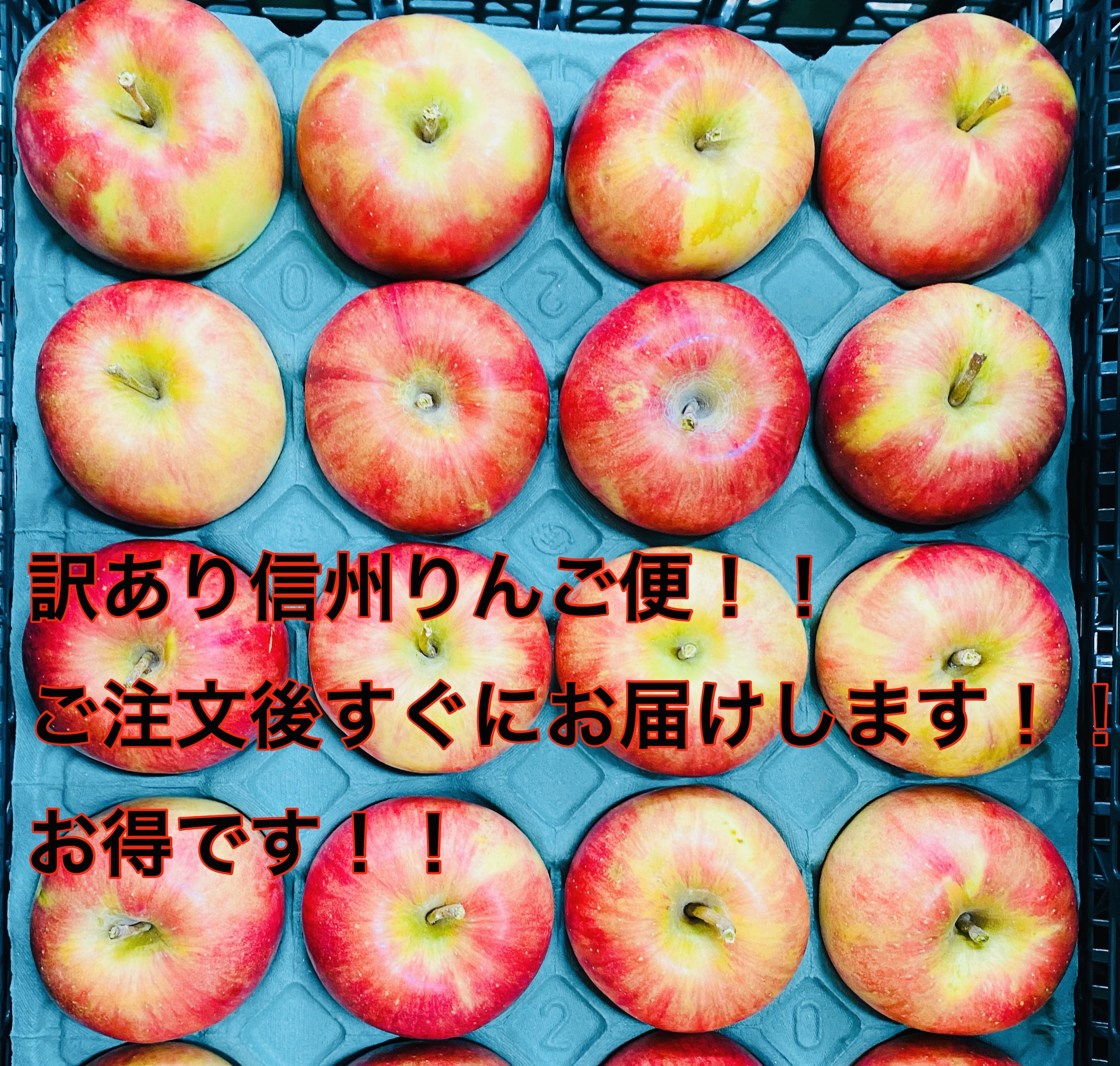 りんご 加工用の産直通販・お取り寄せ商品｜ポケットマルシェ｜産地
