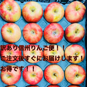 お買い得！訳あり信州りんご便！！時期によって品種変わります！
